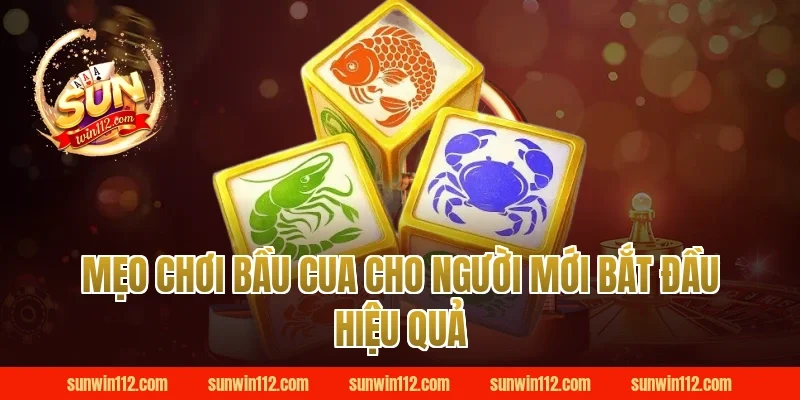 Mẹo chơi bầu cua cho người mới bắt đầu tại Sunwin