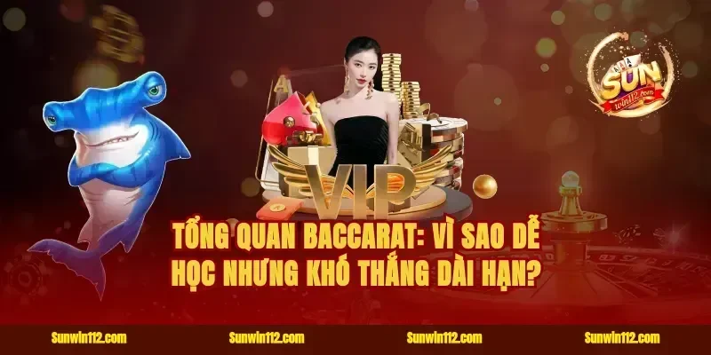 Tổng quan baccarat: vì sao dễ học nhưng khó thắng dài hạn?