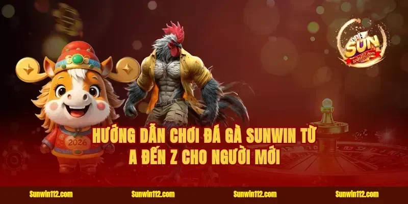 Hướng dẫn chơi đá gà Sunwin từ A đến Z cho người mới