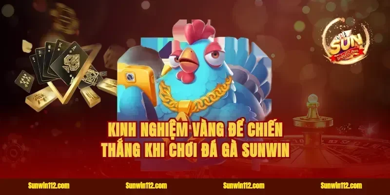 Kinh nghiệm vàng để chiến thắng khi chơi đá gà Sunwin